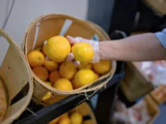 «Борьба за продовольственную помощь: более 800.000 жителей Луизианы под угрозой из-за закрытия правительства США»